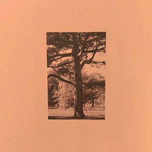 国产网友愉拍精品视频手机
